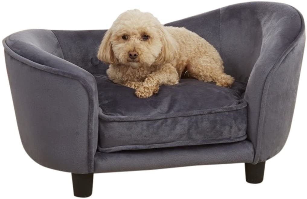 dog couch.jpg