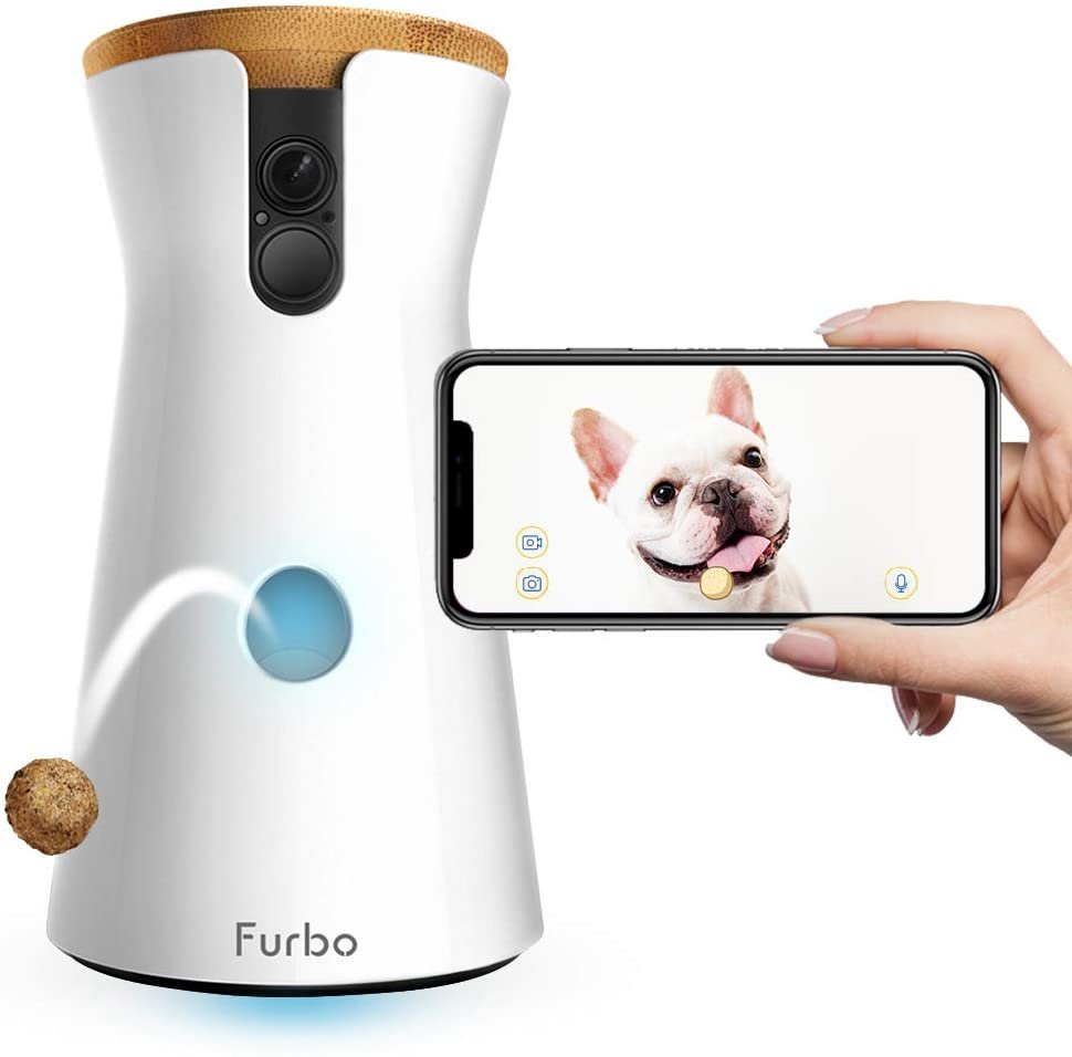 Furbo Camera.jpg