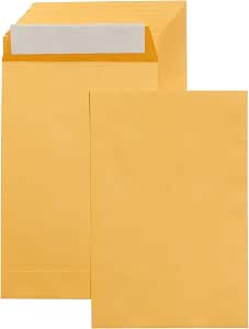 Amazon Basics Self Seal Catalog Envelopes for Business Mailing, Peel and Seal, 6" x 9", Brown Kraft, 100-Pack
